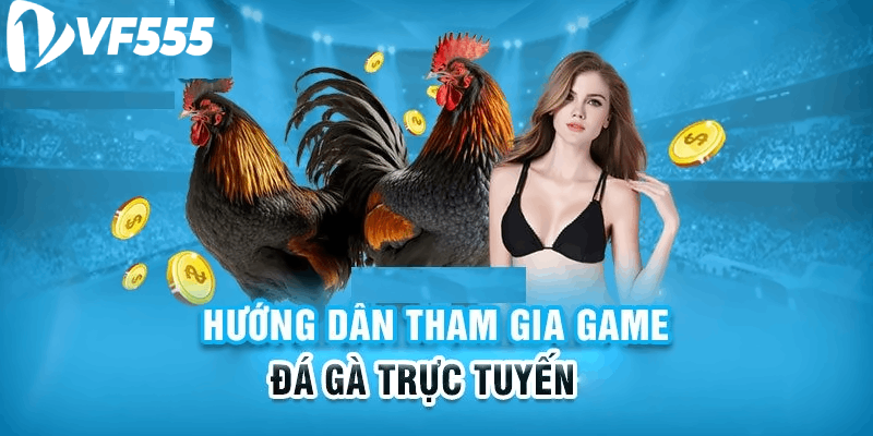 Sảnh đá gà trực tuyến có đặc điểm chung gì?