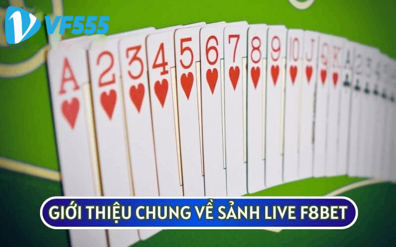 SẢNH LIVE VF555 được biết đến là một trải nghiệm thú vị mà bạn không nên bỏ qua